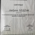Powiększ obraz: certificate 6