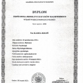 Powiększ obraz: certificate 1