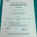 Powiększ obraz: certificate 13