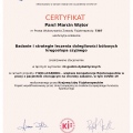 Powiększ obraz: certificate 11