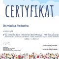 Powiększ obraz: certificate 1
