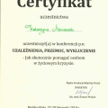 Powiększ obraz: certificate 20