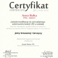 Powiększ obraz: certificate 1