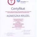 Powiększ obraz: certificate 13