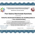 Powiększ obraz: certificate 4