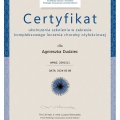Powiększ obraz: certificate 1