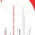 Powiększ obraz: certificate 22