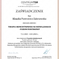 Powiększ obraz: certificate 3
