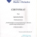 Powiększ obraz: certificate 1