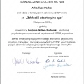 Powiększ obraz: certificate 16