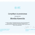 Powiększ obraz: certificate 15
