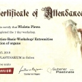 Powiększ obraz: certificate 6