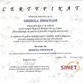 Powiększ obraz: certificate 4