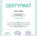 Powiększ obraz: certificate 4