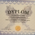 Powiększ obraz: certificate 4