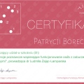 Powiększ obraz: certificate 8