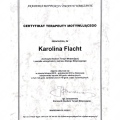 Powiększ obraz: certificate 7