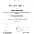 Powiększ obraz: certificate 2