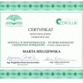 Powiększ obraz: certificate 7