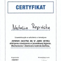 Powiększ obraz: certificate 1