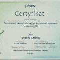 Powiększ obraz: certificate 18