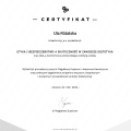 Powiększ obraz: certificate 17