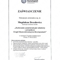 Powiększ obraz: certificate 41