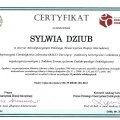 Powiększ obraz: certificate 4