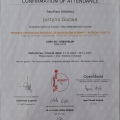 Powiększ obraz: certificate 23