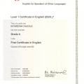 Powiększ obraz: certificate 2