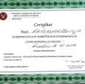 Powiększ obraz: certificate 1