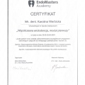 Powiększ obraz: certificate 7