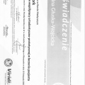 Powiększ obraz: certificate 6