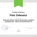 Powiększ obraz: certificate 7