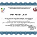 Powiększ obraz: certificate 12