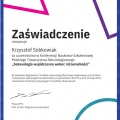 Powiększ obraz: certificate 11