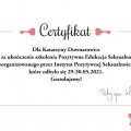 Powiększ obraz: certificate 1