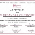 Powiększ obraz: certificate 4