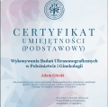 Powiększ obraz: certificate 2