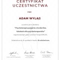 Powiększ obraz: certificate 8