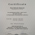 Powiększ obraz: certificate 15
