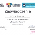 Powiększ obraz: certificate 10