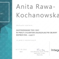Powiększ obraz: certificate 3