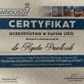 Powiększ obraz: certificate 10