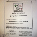 Powiększ obraz: certificate 8