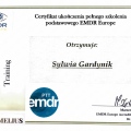 Powiększ obraz: certificate 2