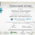 Powiększ obraz: certificate 2
