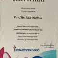 Powiększ obraz: certificate 9