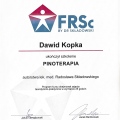 Powiększ obraz: certificate 6