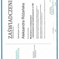 Powiększ obraz: certificate 1
